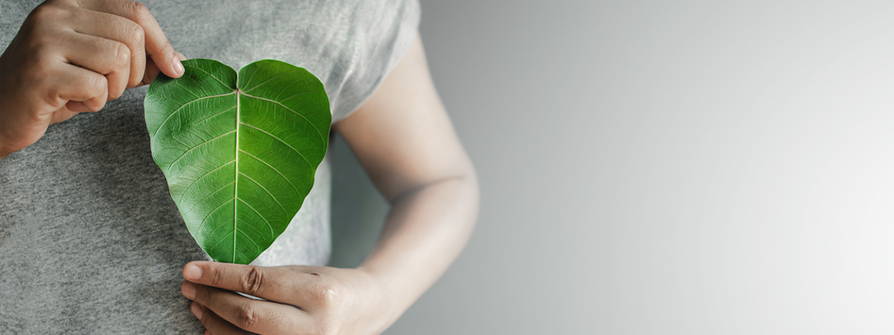 Nachhaltigkeit Nachhaltigkeit